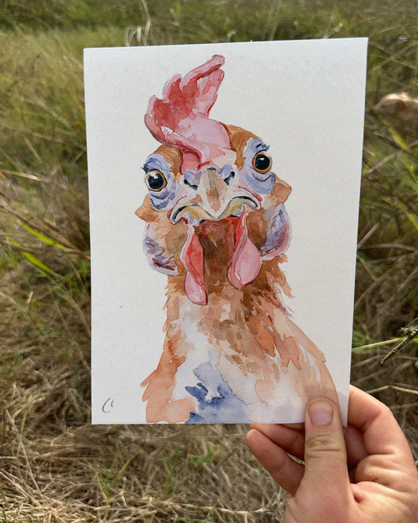 Custom Chicken Portraits
